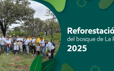 Reforestación del Bosque de la Primavera 2025